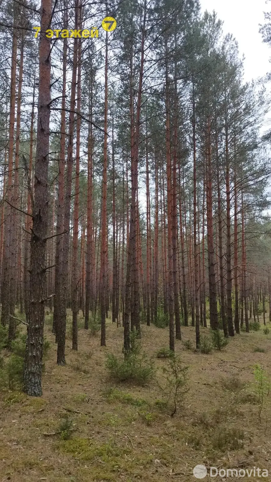 Продажа 2-этажной дачи в Строитель-35 Минская область, 11900USD, код 182703 - фото 16