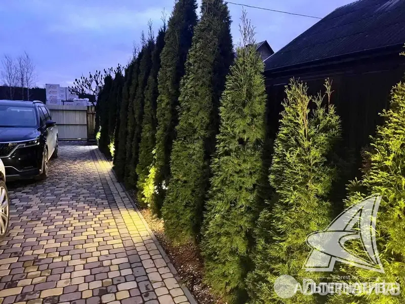 Продажа 2-этажной дачи в Прибрежное-1 Брестская область, 90000USD, код 185702 - фото 16