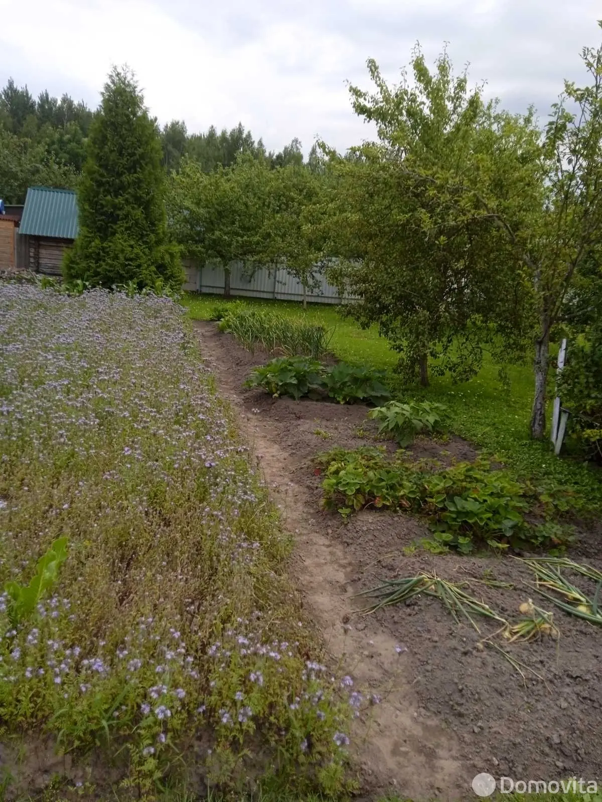 Стоимость продажи участка, Радуга-4, 