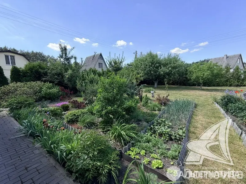 Продажа 1-этажной дачи в Дубок-2009 Брестская область, 79800BYN, код 186144 - фото 11