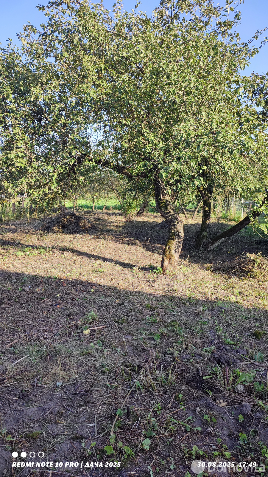 Купить земельный участок, 25 соток, Юрьево, Минская область, 14500USD, код 570952 - фото 14