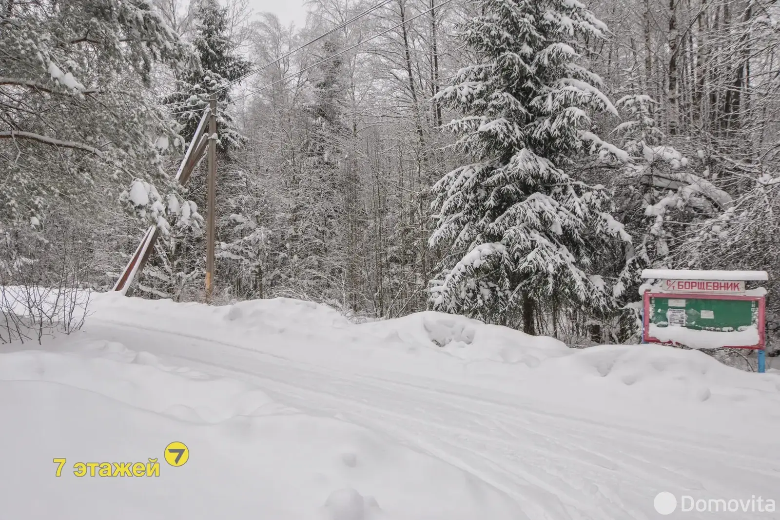 Продажа 1-этажной дачи в Борщевник Минская область, 129000USD, код 184849 - фото 70