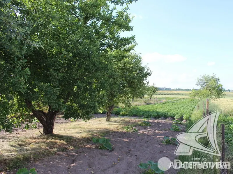 участок, Ставище, - лучшее предложение