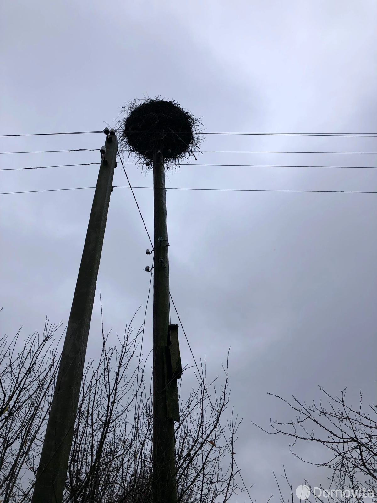 участок, Коренды, , стоимость продажи 8 796 р.