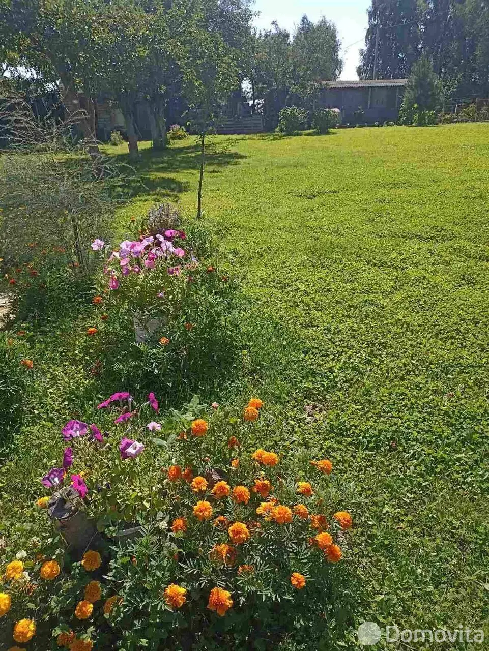 дача, Остров Дружный, , стоимость продажи 46 522 р.