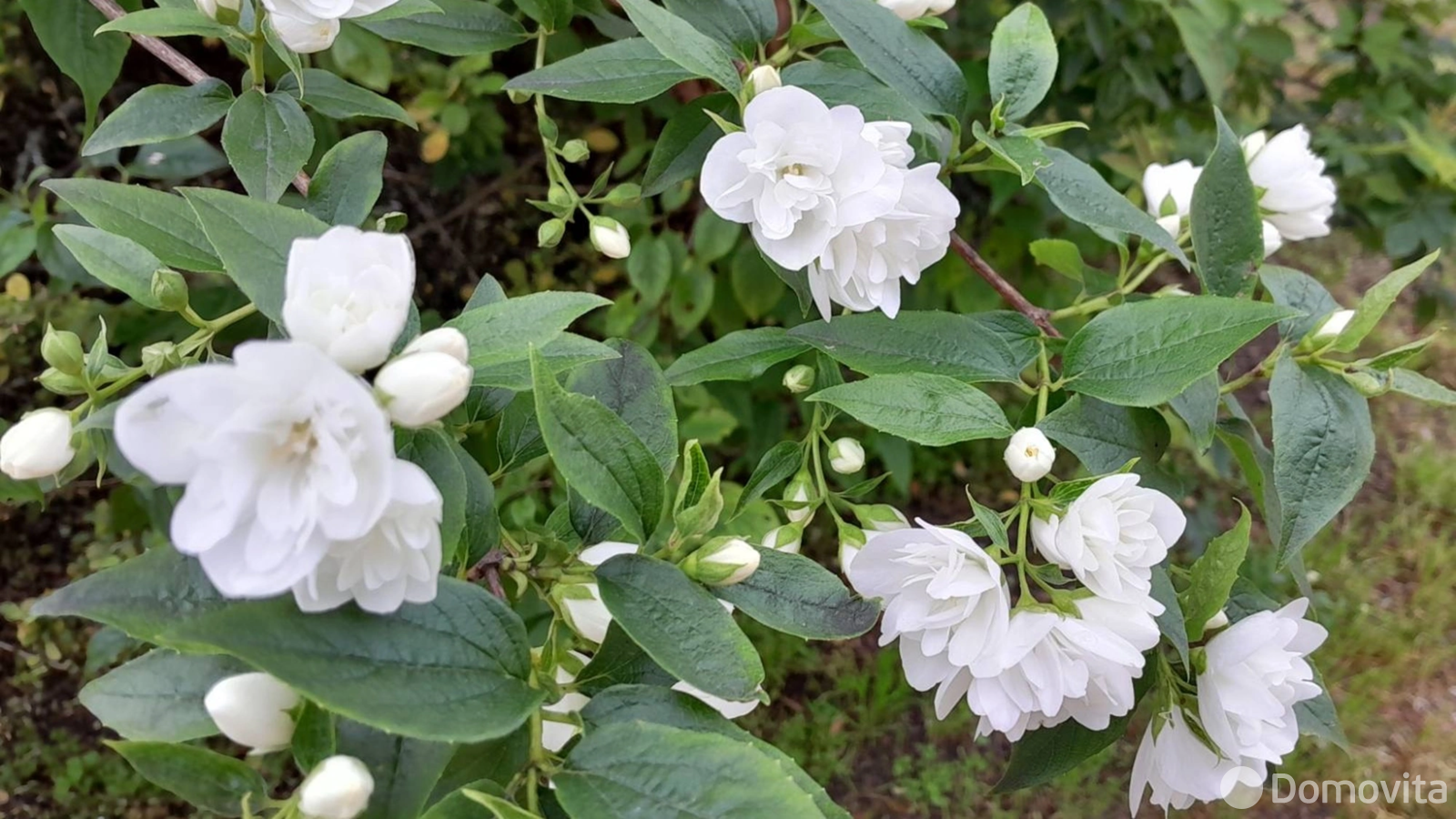 Продажа 2-этажной дачи в Уютная поляна Минская область, 64700USD, код 182512 - фото 24