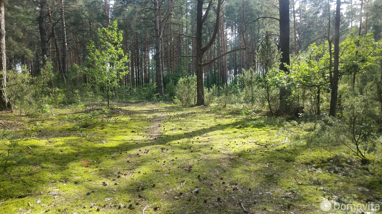 купить участок, Холодинка, д. 39