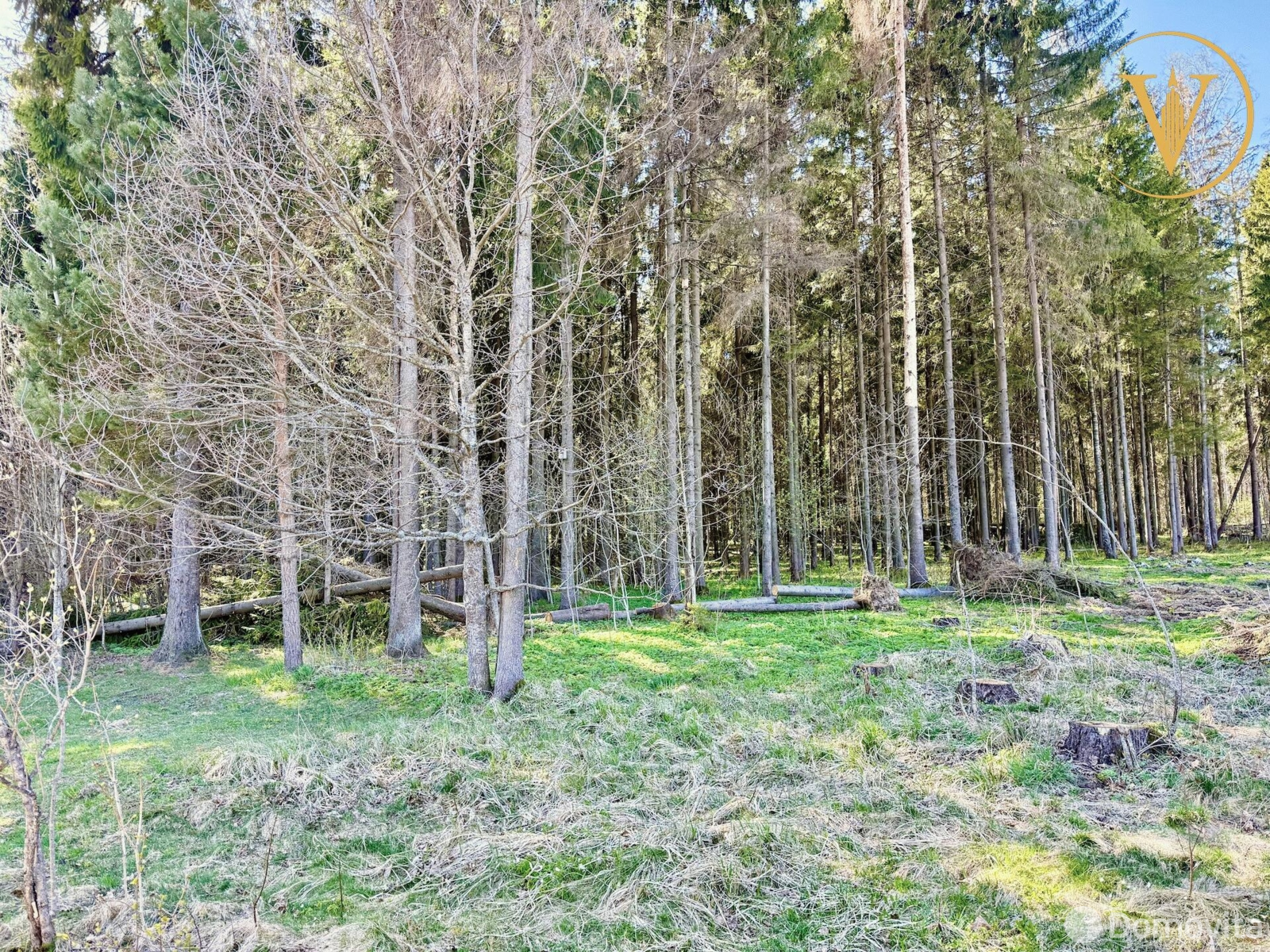 Продажа 2-этажной дачи в Гарани Минская область, 22000USD, код 185643 - фото 35