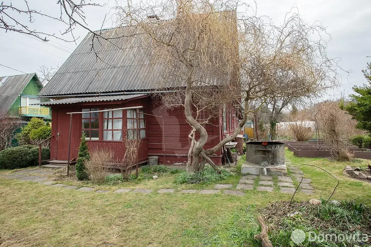 дача, Птичь, 