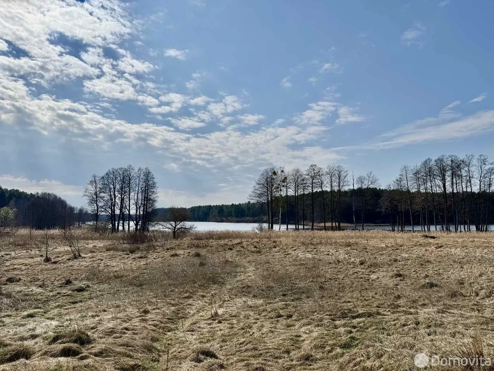 участок, Глушнево, , стоимость продажи 35 184 р.