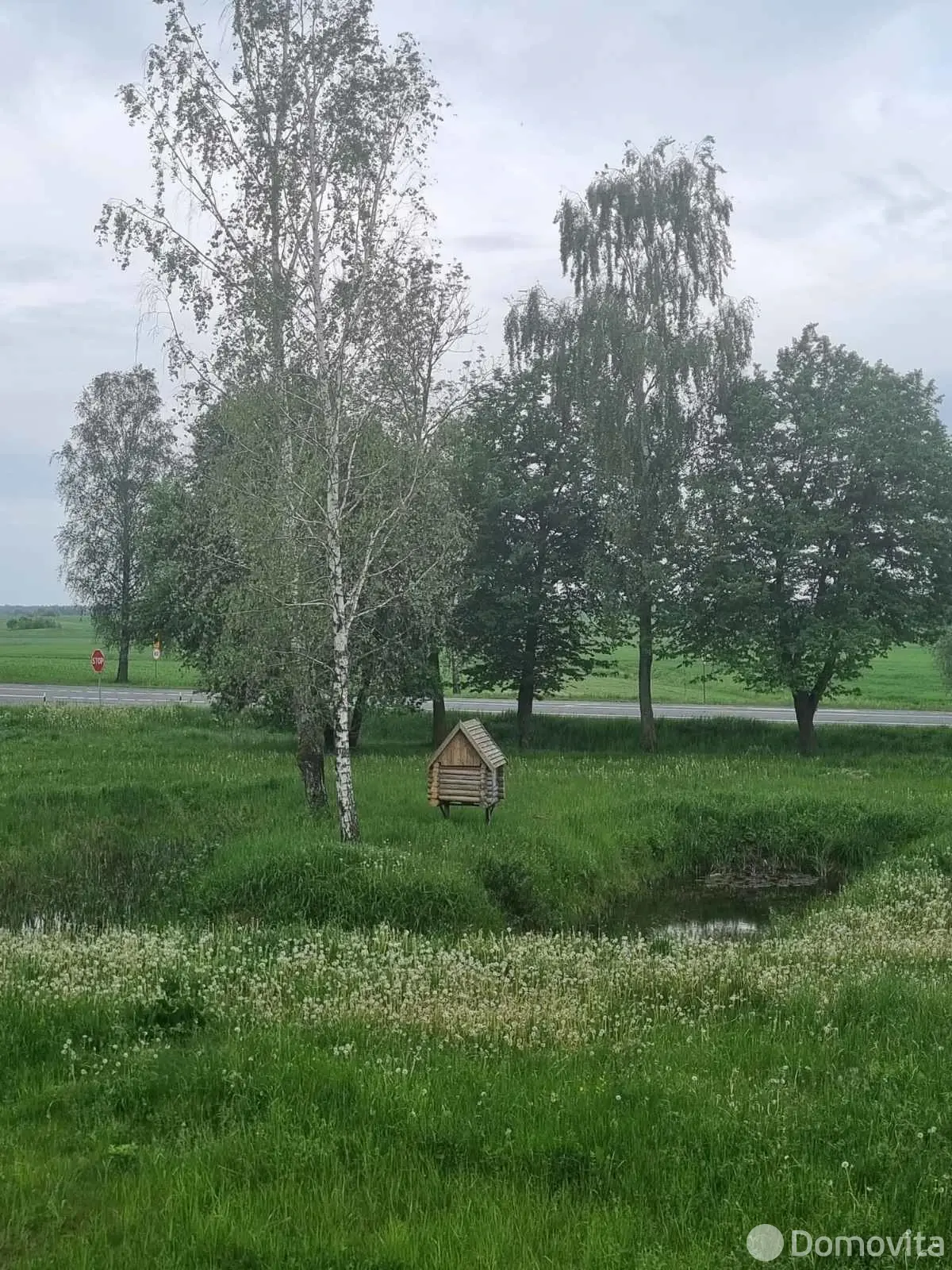 участок, Вядерево, ул. Мира