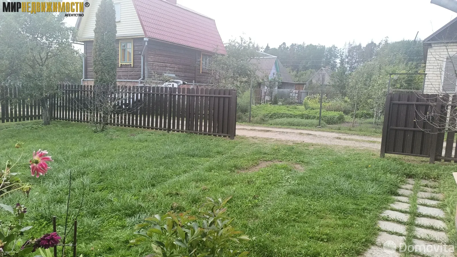 дача, Елочка, 