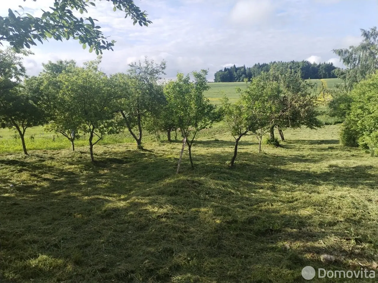участок, Капличи, 