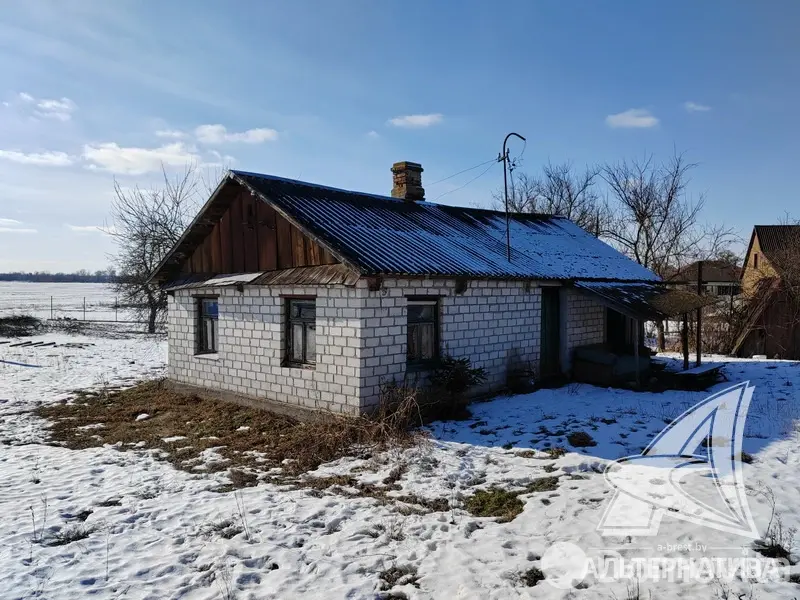 Купить земельный участок, 21.6 соток, Блювиничи, Брестская область, 18900USD, код 571489 - фото 14