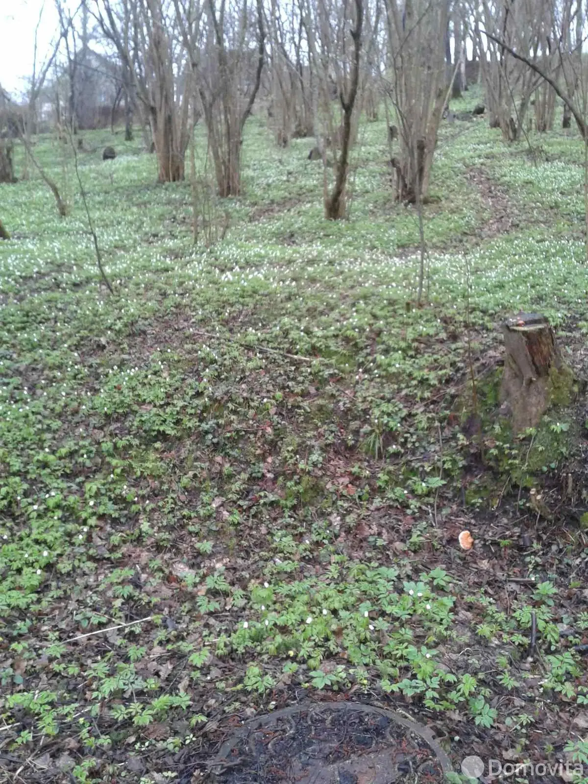 Купить 2-этажную дачу в Дейках Витебская область, 19500USD, код 178509 - фото 23