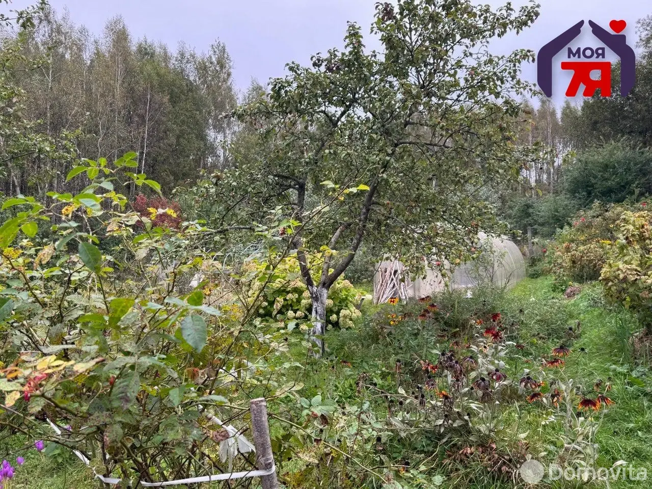 Купить 1-этажную дачу в Минская область, 7500USD, код 184432 - фото 12