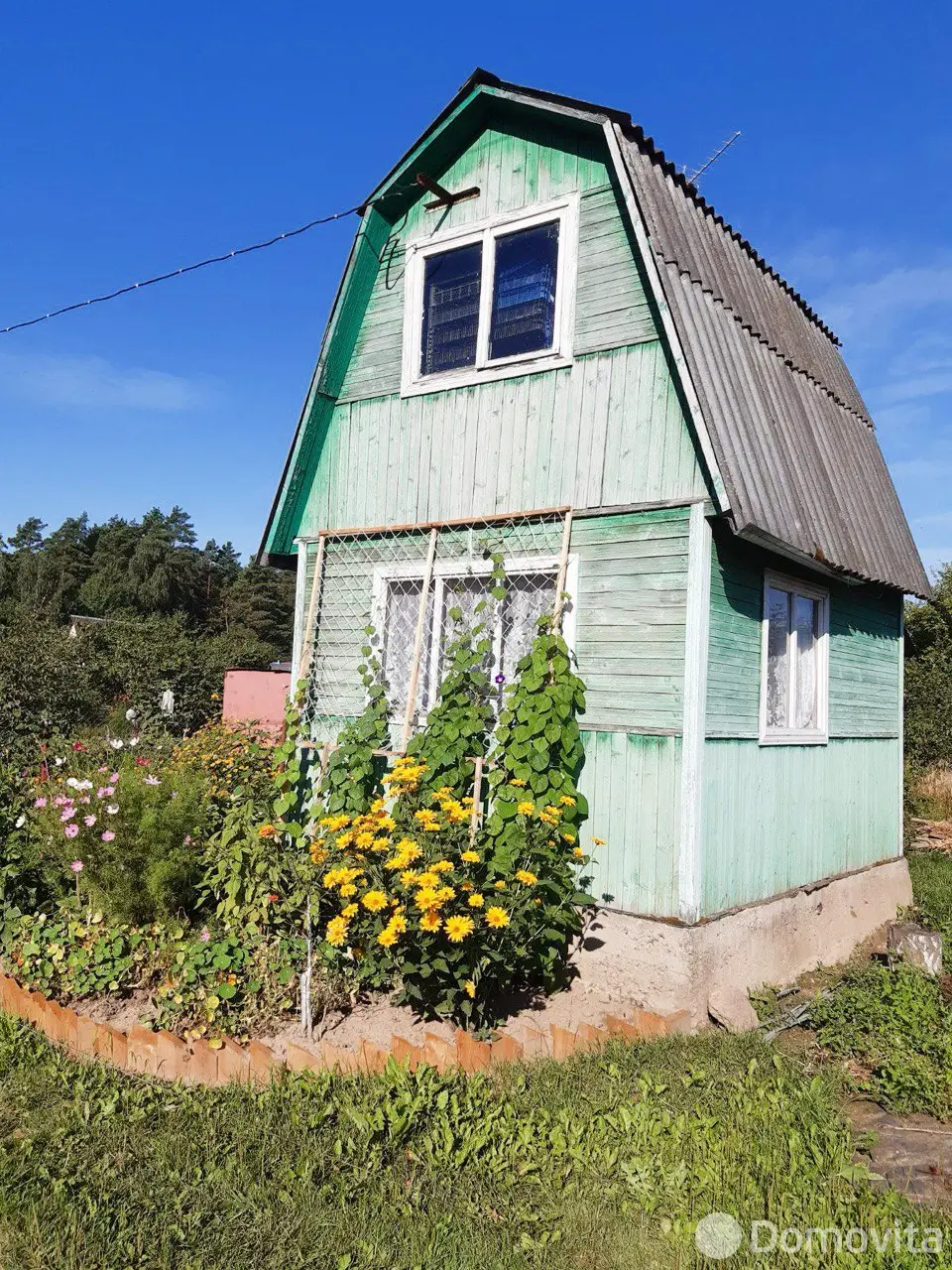 участок, Летний вечер, 