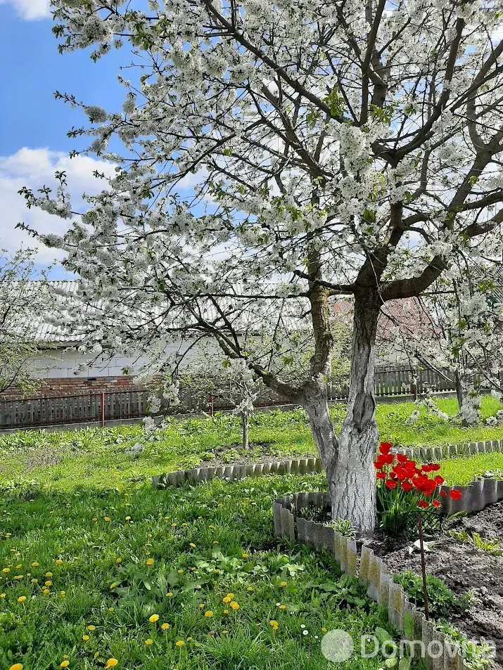 дом, Кнотовщина, ул. Центральная - лучшее предложение