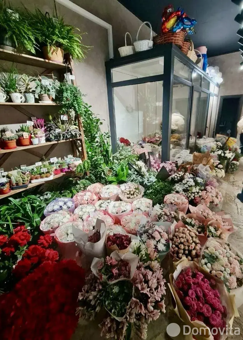 Продажа торгового помещения на ул. Жореса Алфёрова, д. 10 в Минске, 480000BYN, код 999141 - фото 2