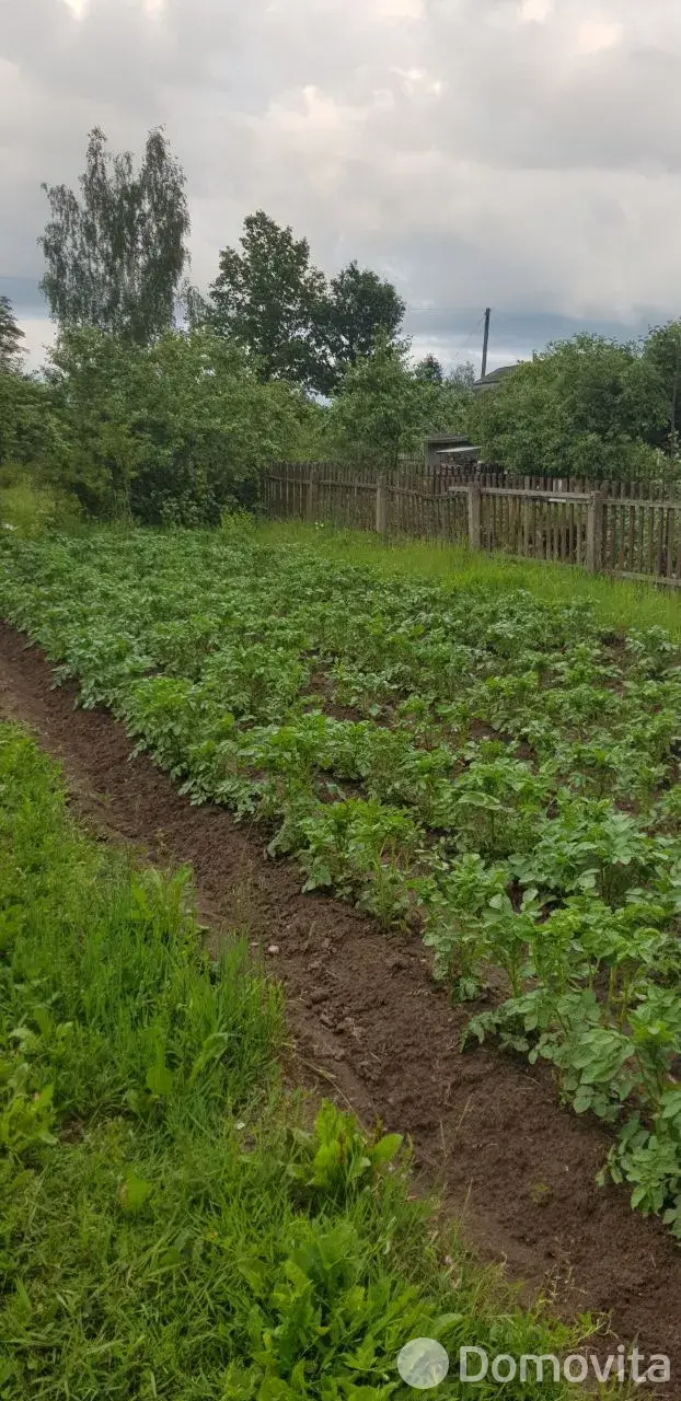 Купить земельный участок, 12 соток, Трикотаж, Витебская область, 3500USD, код 570321 - фото 25