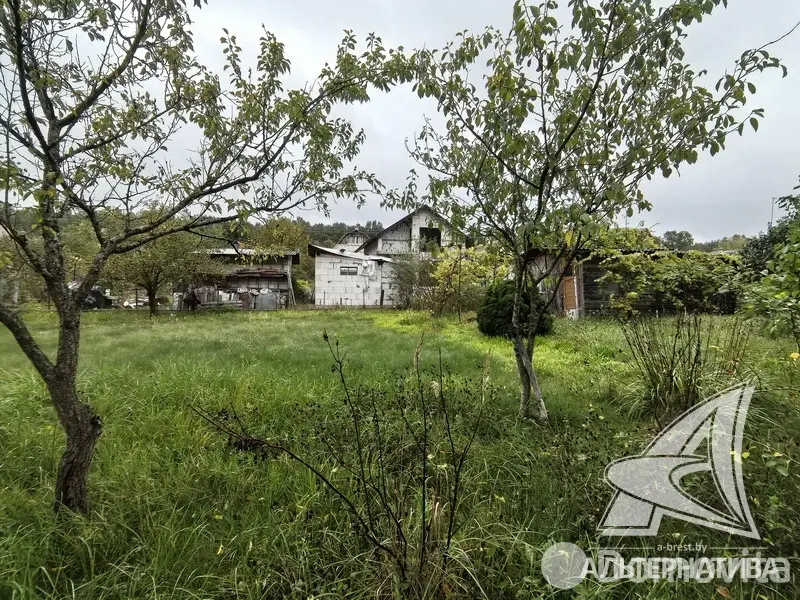 участок, Урожай ОАО Брестхлебопродукт, 