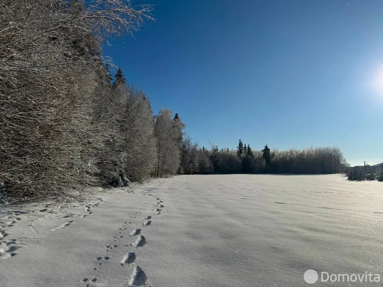 Купить земельный участок, 15 соток, Каралино, Минская область, 65000USD, код 571590 - фото 17