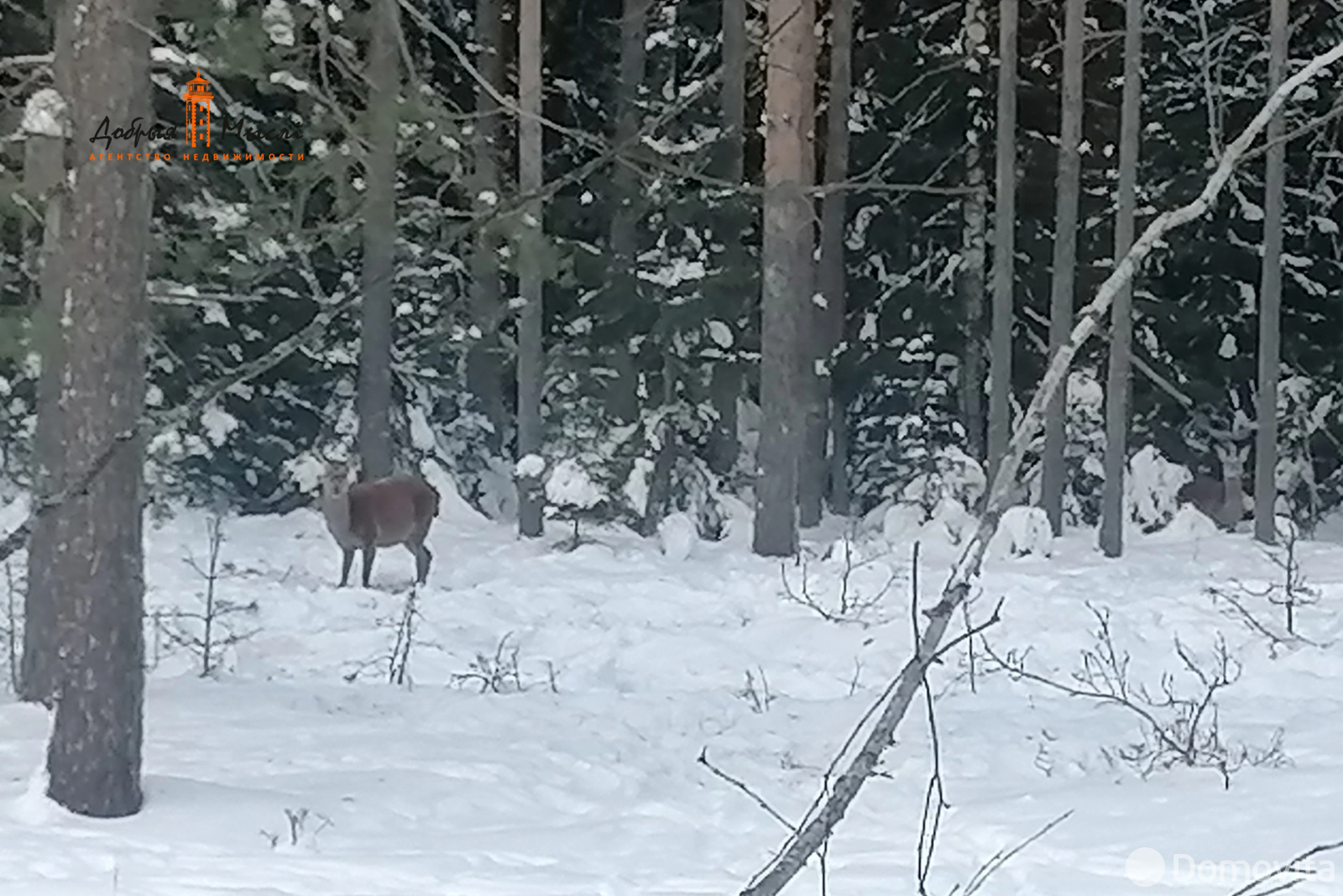 Купить 1-этажную дачу в Налибоках Минская область, 9500USD, код 184910 - фото 22