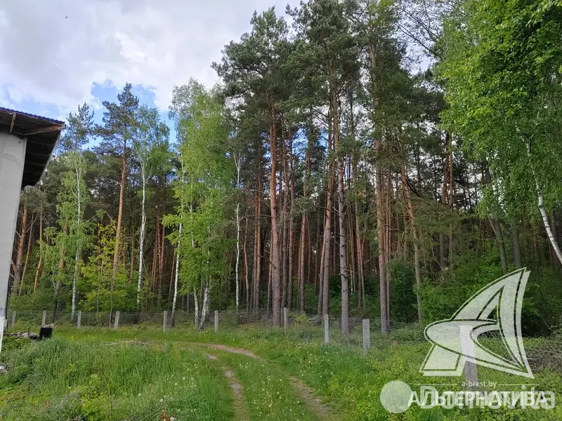 Купить 2-этажную дачу в Березовая роща-87 Брестская область, 59000USD, код 182777 - фото 13