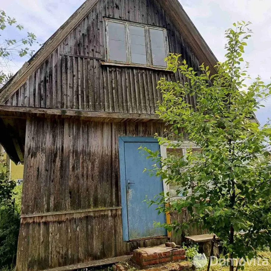 дача, Цветовод-2008, 