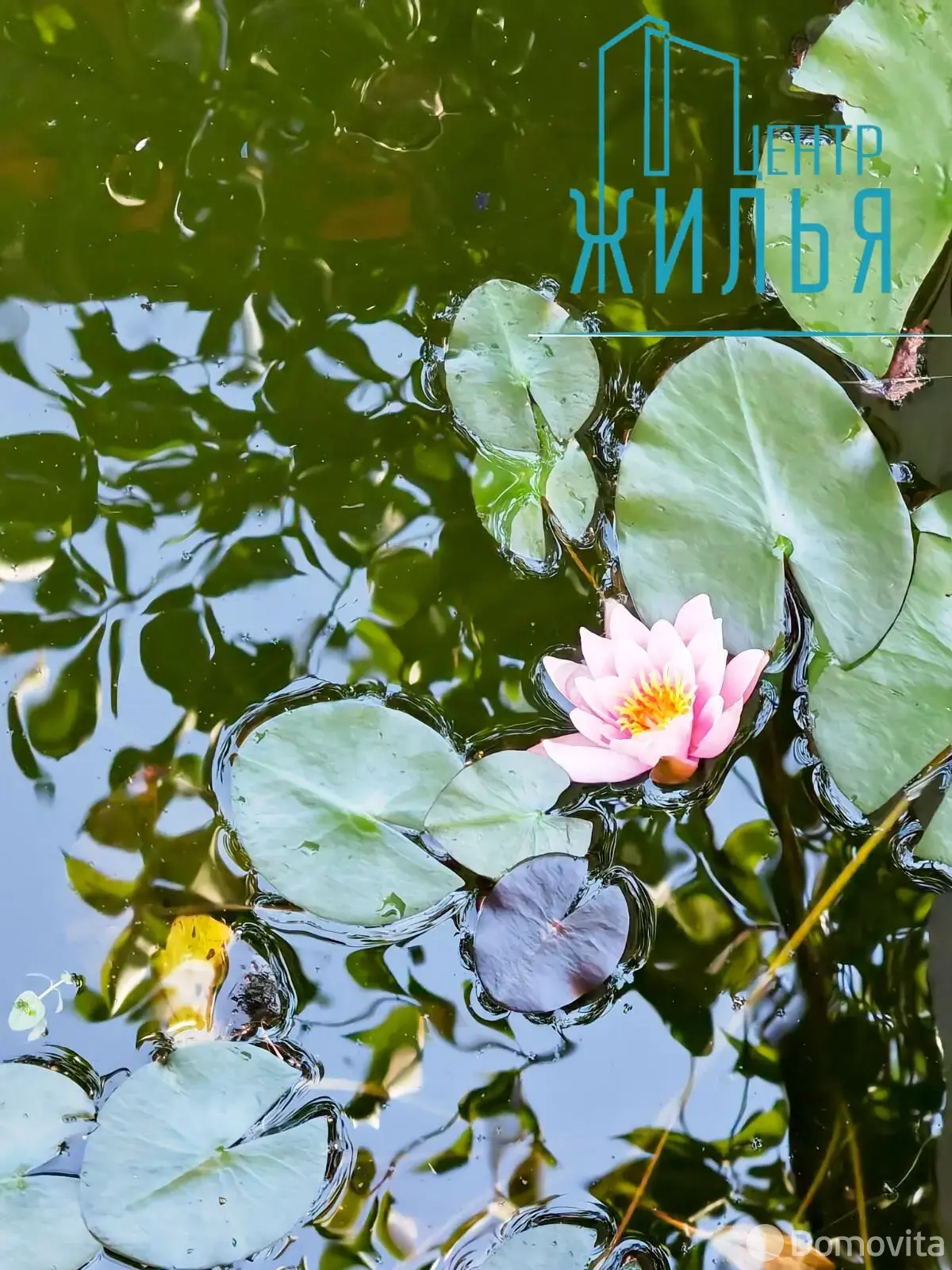 Продажа 1-этажной дачи в Крушина Гродненская область, 60000BYN, код 184247 - фото 43