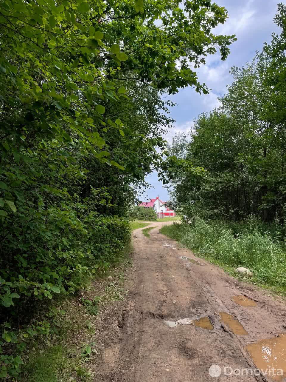 дом, Чижевичи, ул. Чижевичская 