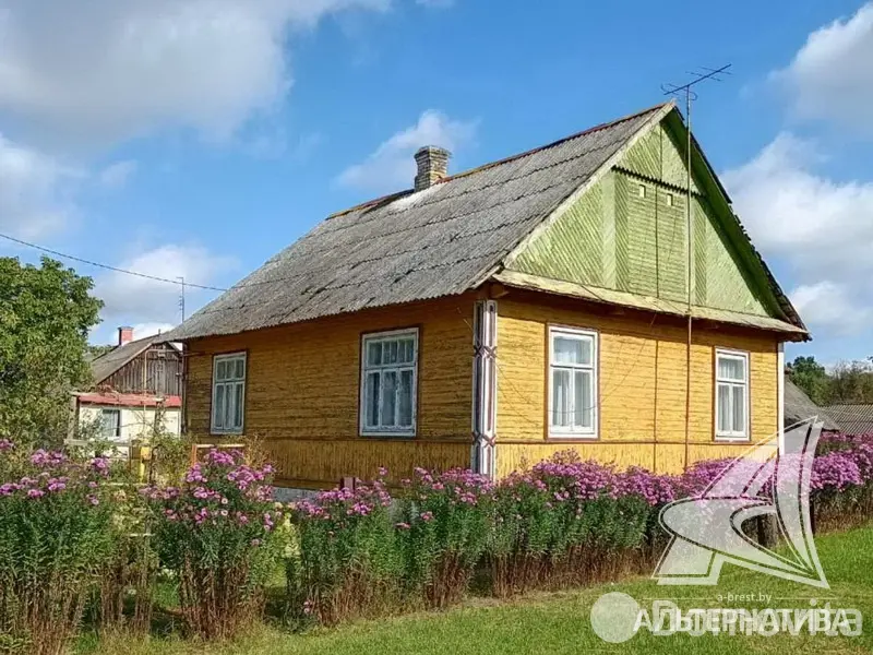 дом, Пелище,