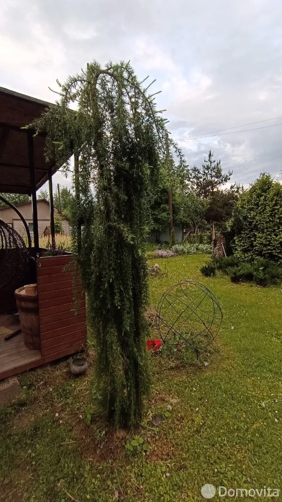 дача, Лесное-Великое, 