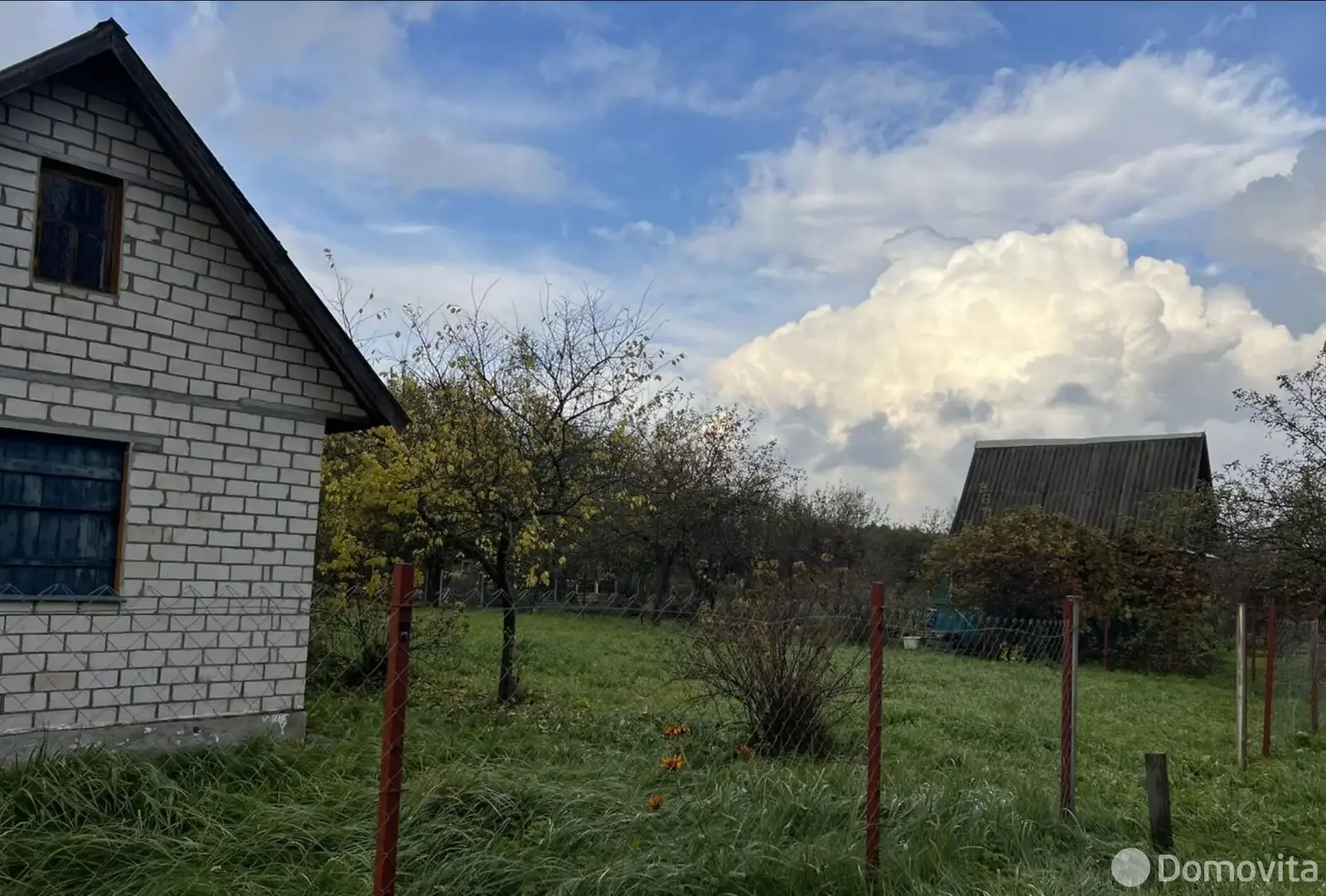 дача, Ромашка,