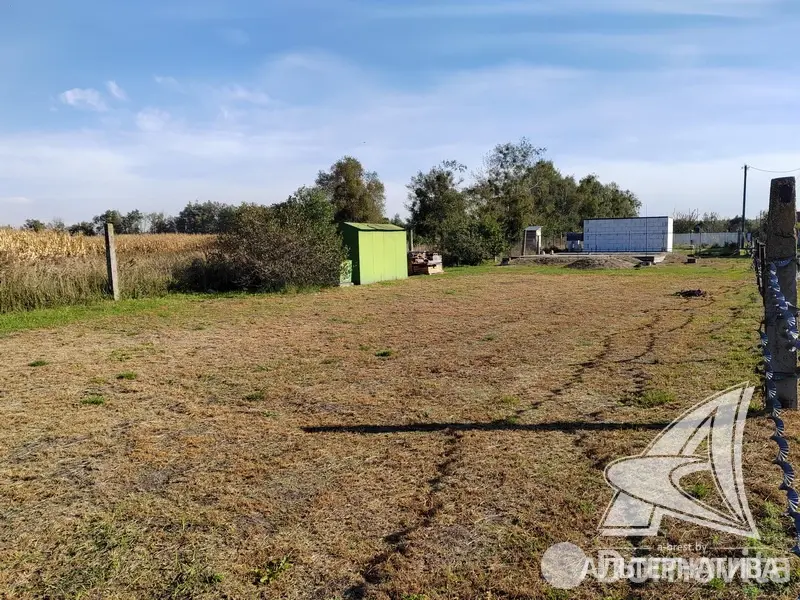 Купить земельный участок, 6.73 соток, Березка, Брестская область, 10500USD, код 570878 - фото 8