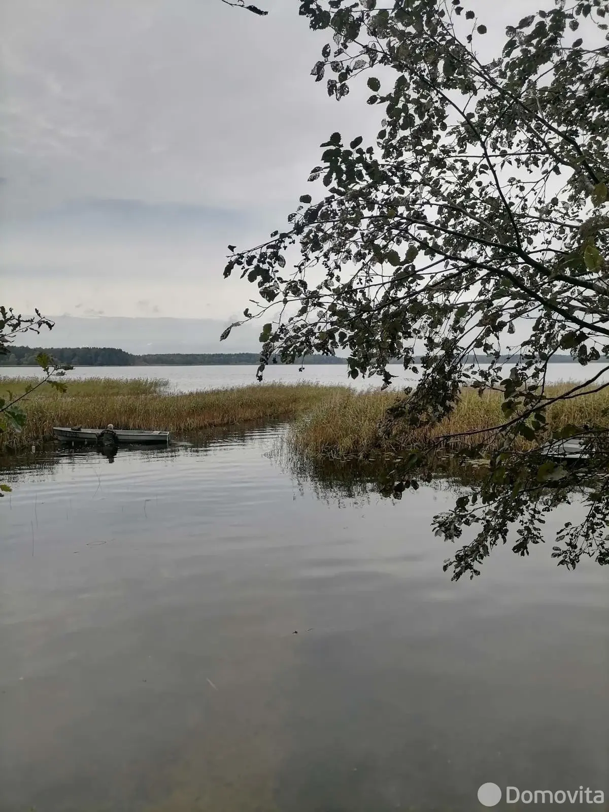 дача, Лосвидо,