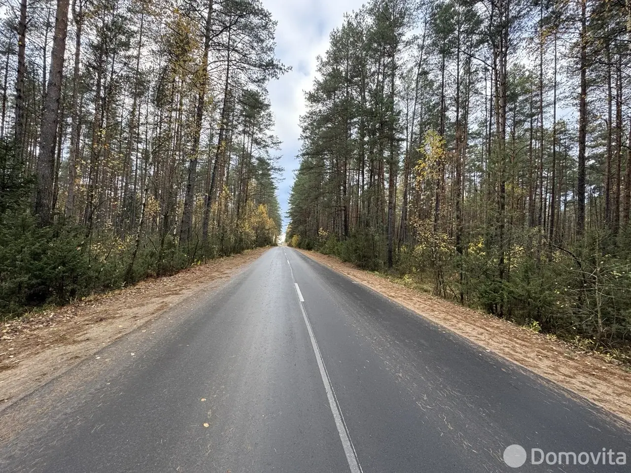 Продажа 1-этажной дачи в Механизатор Минская область, 10500USD, код 184490 - фото 20