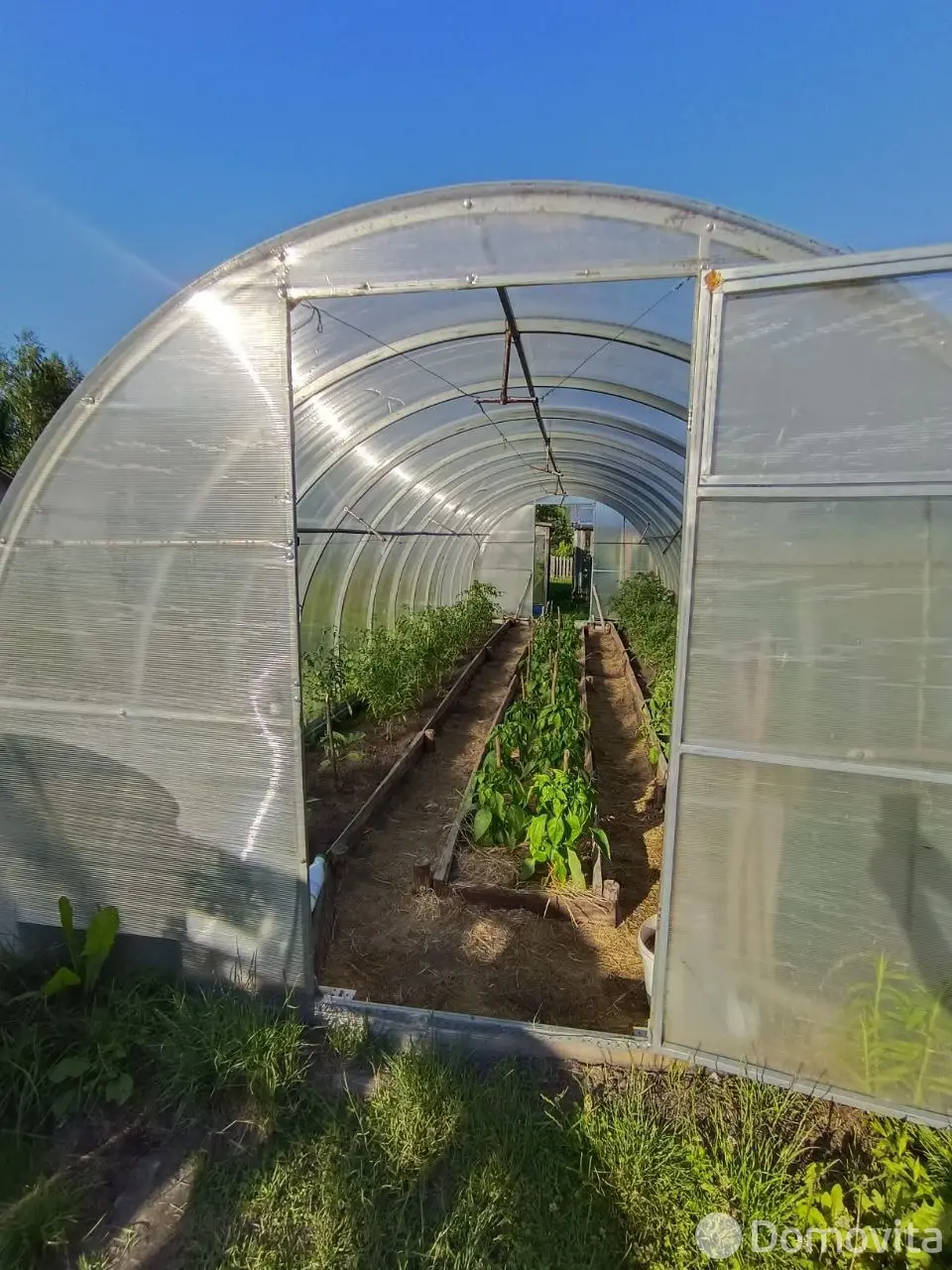 дача, Экран-Тарасики, 