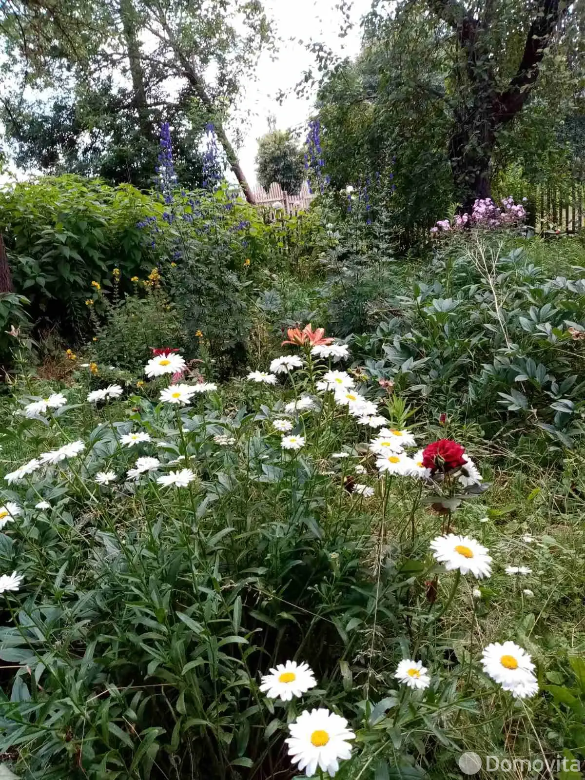 Стоимость продажи участка, Орша, пер. Климента Тимирязева