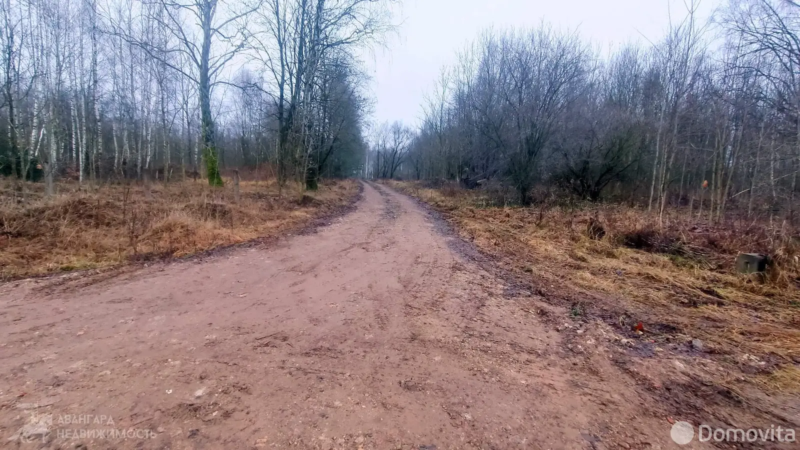 Купить складское помещение в Станьково - фото 15