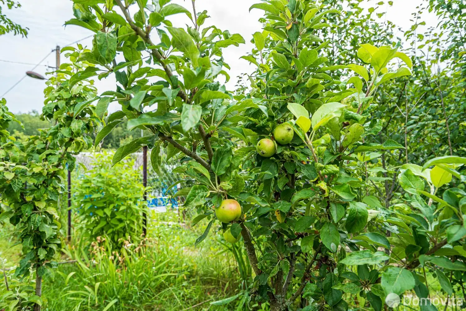 Купить 1-этажную дачу в Подгорье Могилевская область, 15000USD, код 183476 - фото 32