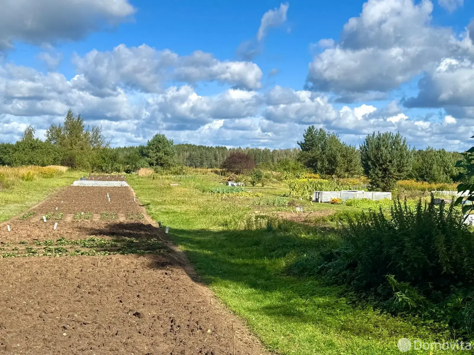 Продажа 2-этажной дачи в Ромашканцах Гродненская область, 23490USD, код 184244 - фото 27