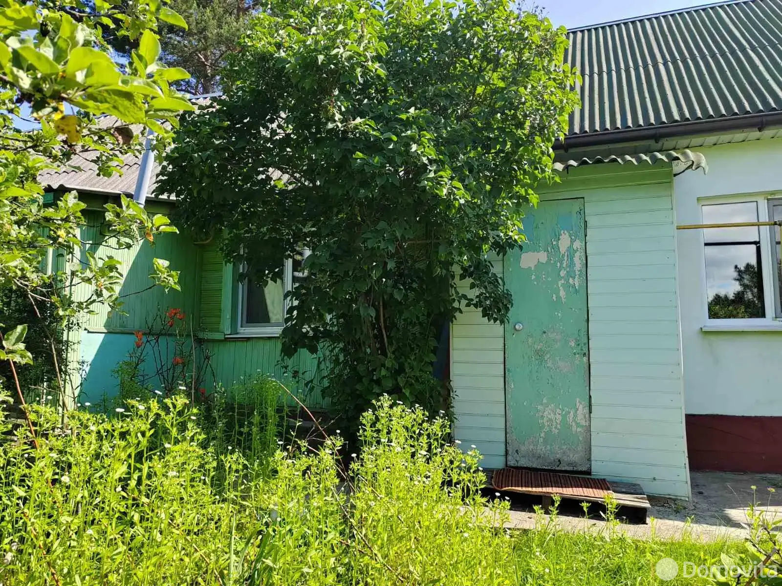 дом, Остров,