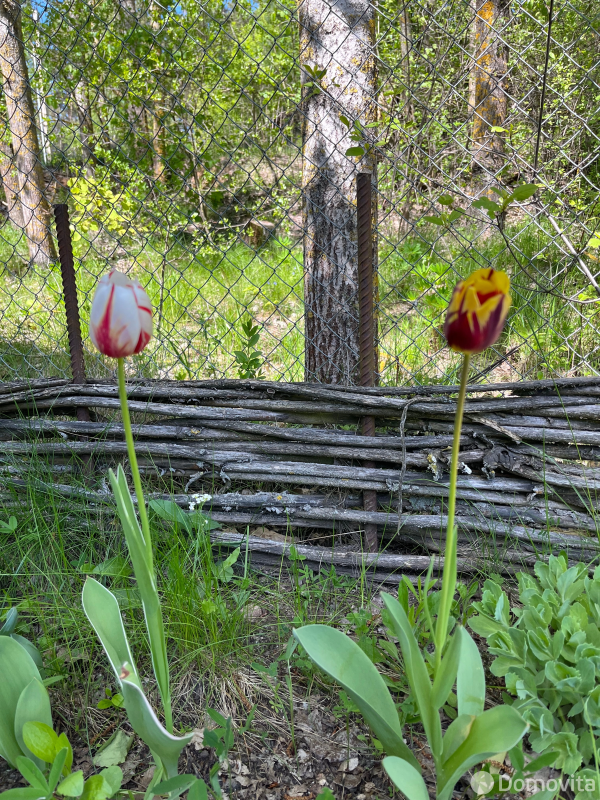Аренда коттеджа Дом на сутки в Слобода , 400BYN, код 1265 - фото 23