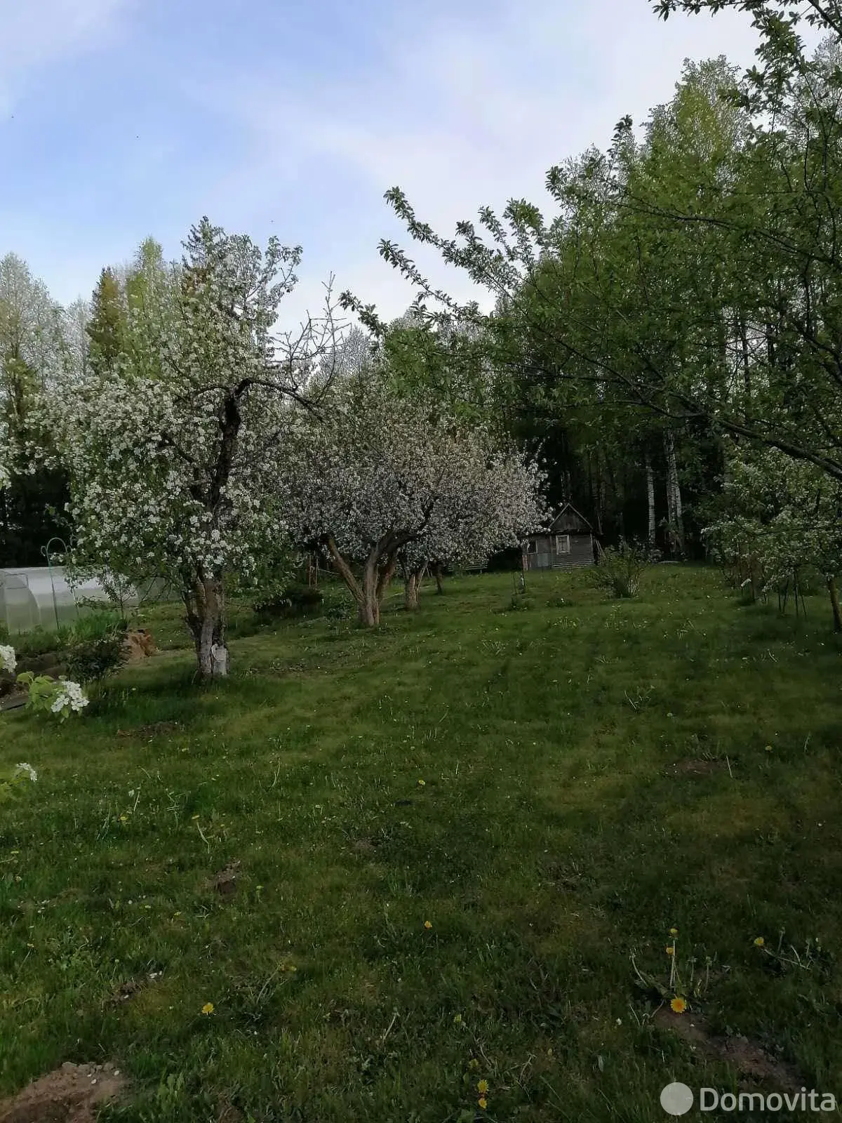 дача, Верас-93, 