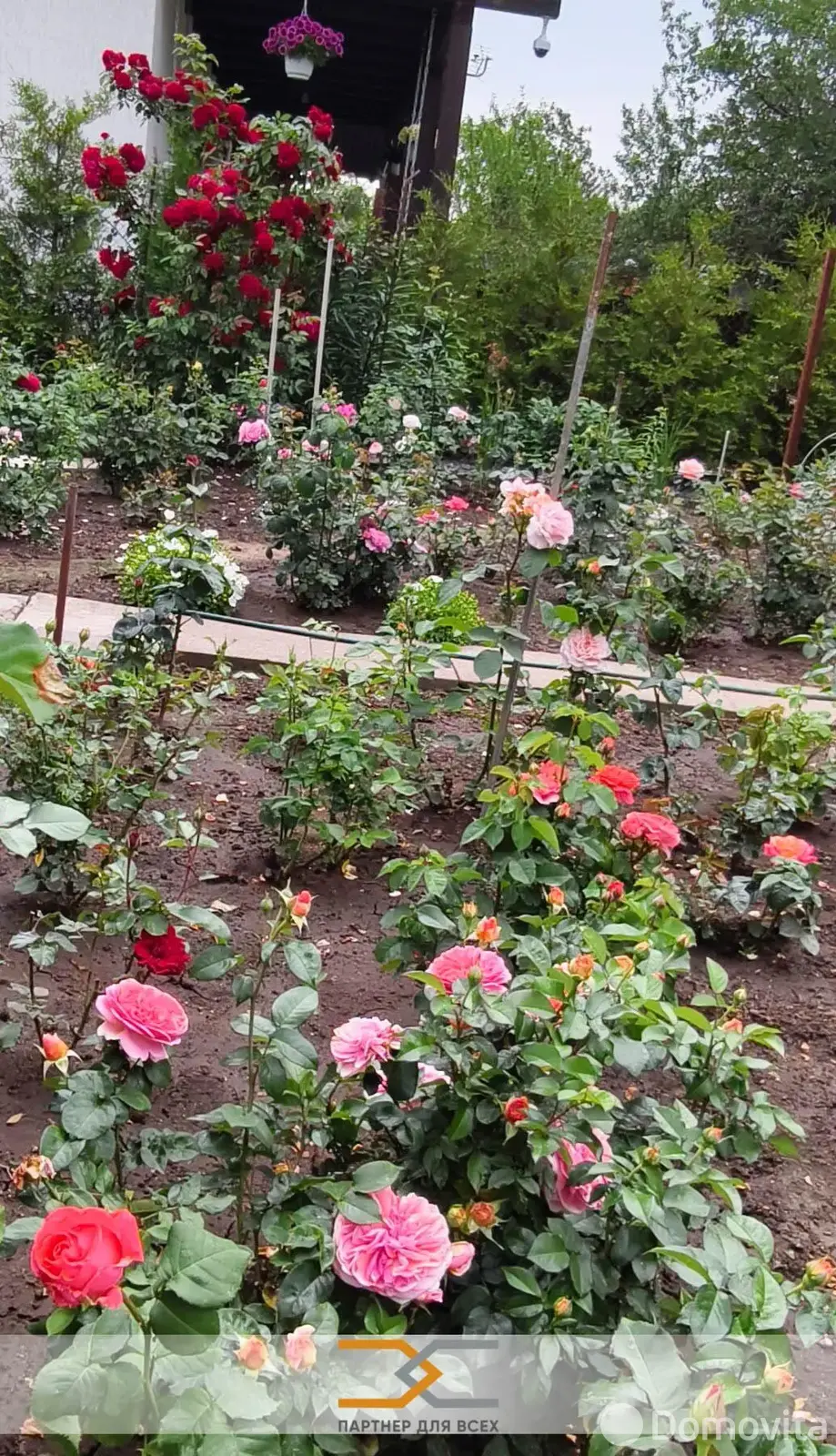 Продажа 1-этажной дачи в Аэрофлот Минская область, 53500USD, код 183340 - фото 30