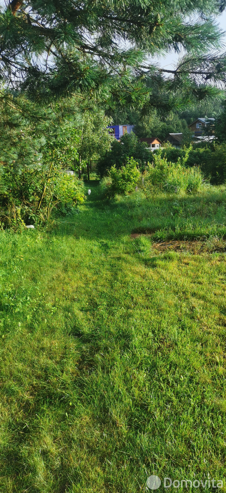 участок, Лаванда Лесная, 