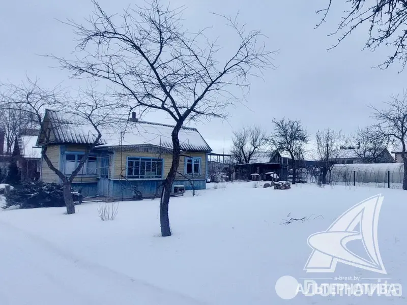 дача, Брест, в Ленинском районе