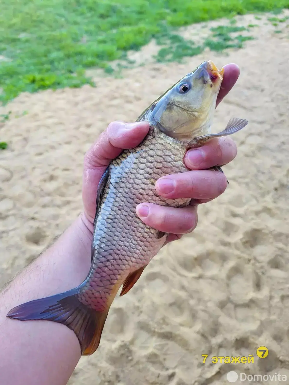 Продажа 2-этажной дачи в Полевой 2 Минская область, 86950USD, код 178452 - фото 27