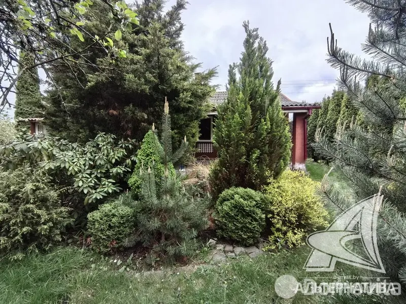Купить 1-этажную дачу в Суница-80 Брестская область, 83720BYN, код 185703 - фото 20